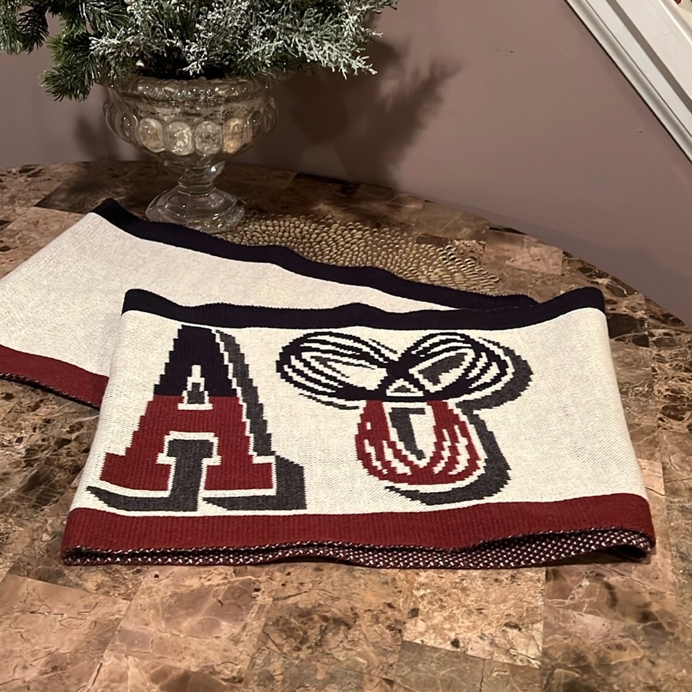 Aritzia TNA Infinity Scarf